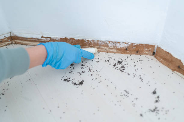 Best Cockroach Control Services  in Oregon, IL